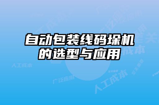 自動包裝線碼垛機的選型與應(yīng)用