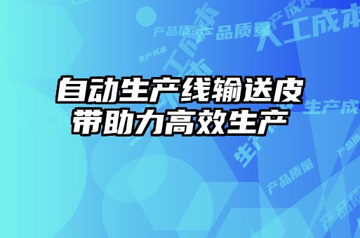 自動(dòng)生產(chǎn)線(xiàn)輸送皮帶助力高效生產(chǎn)