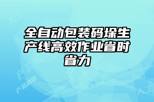 全自動包裝碼垛生產(chǎn)線高效作業(yè)省時(shí)省力